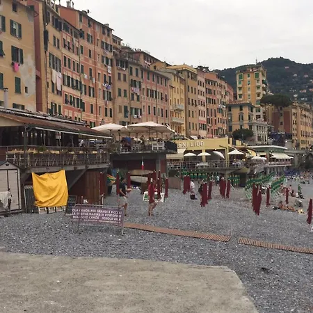 Luce Azzurra Lägenhet Camogli