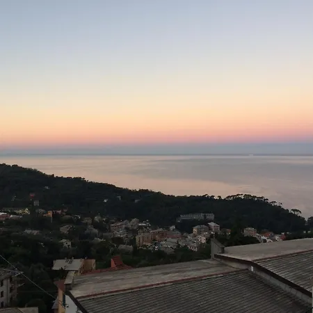 Luce Azzurra Camogli