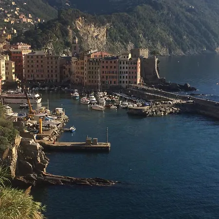 Luce Azzurra * Camogli